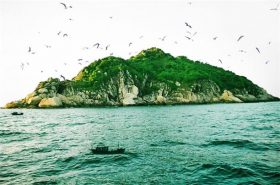 Đảo yến Quảng Binh